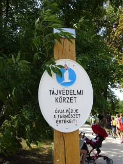 nemzeti_ifjusagi_zenekar_2017_08_26_normafa_5