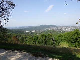 nemzeti_ifjusagi_zenekar_2017_08_26_normafa_8