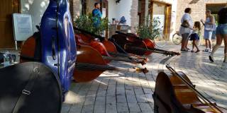 nemzeti_ifjusagi_zenekar_2019_tihany_28